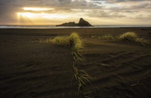 percy jackson series books in order