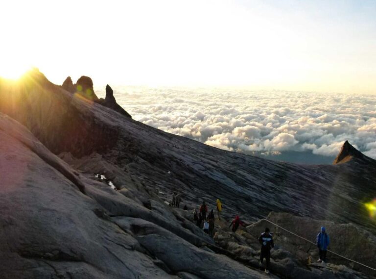 andreea bostanica goala