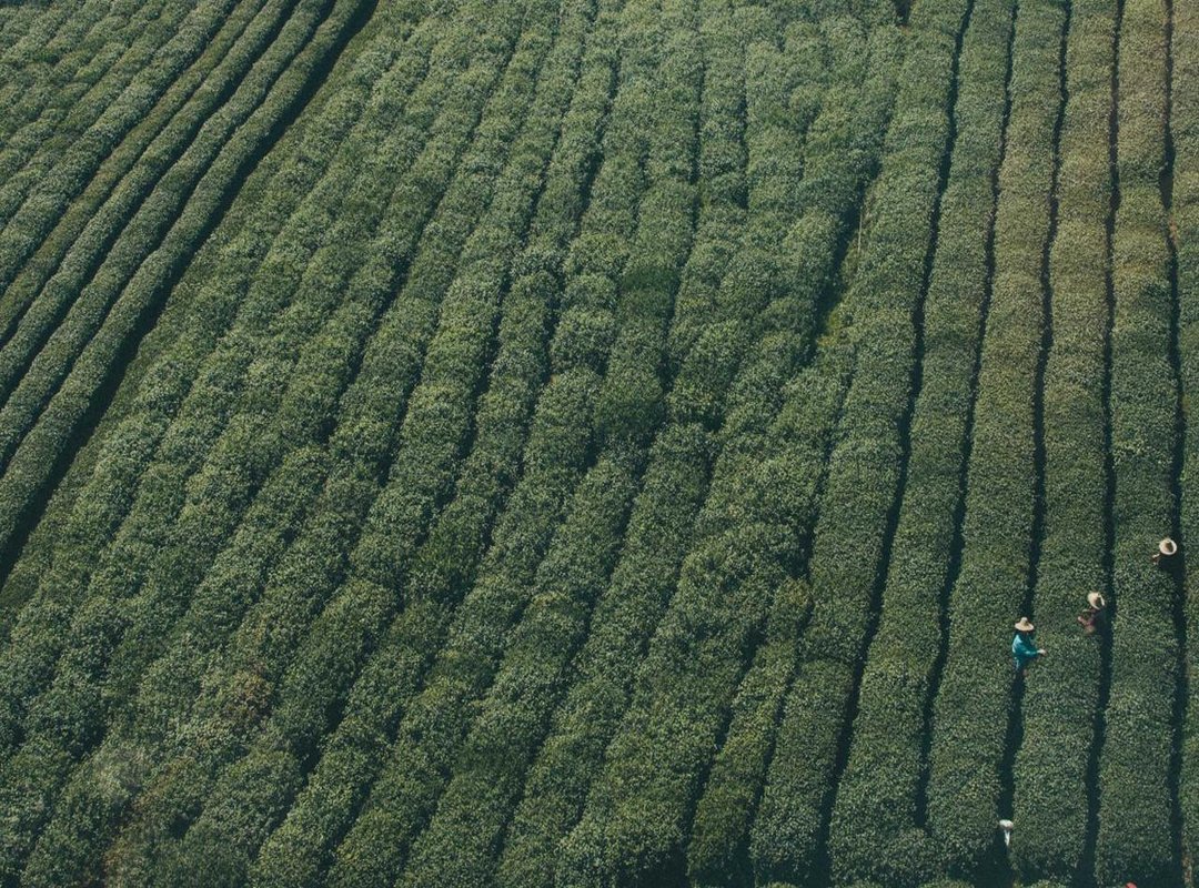 Statistical Insights: Head-to-Head Records and Milestones