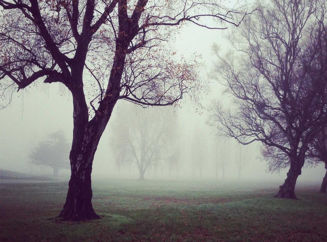 Logging In on Different Devices: Mobile vs. Desktop