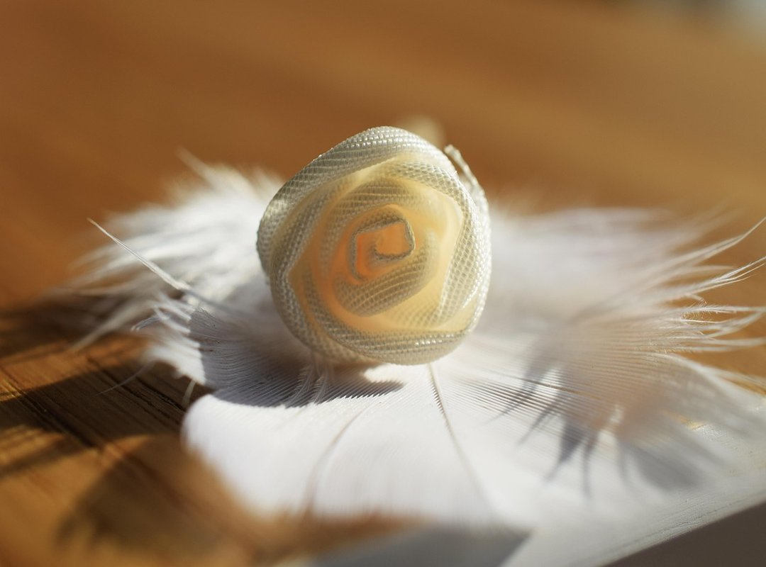 Mastering the Art of 'Gently Perv'