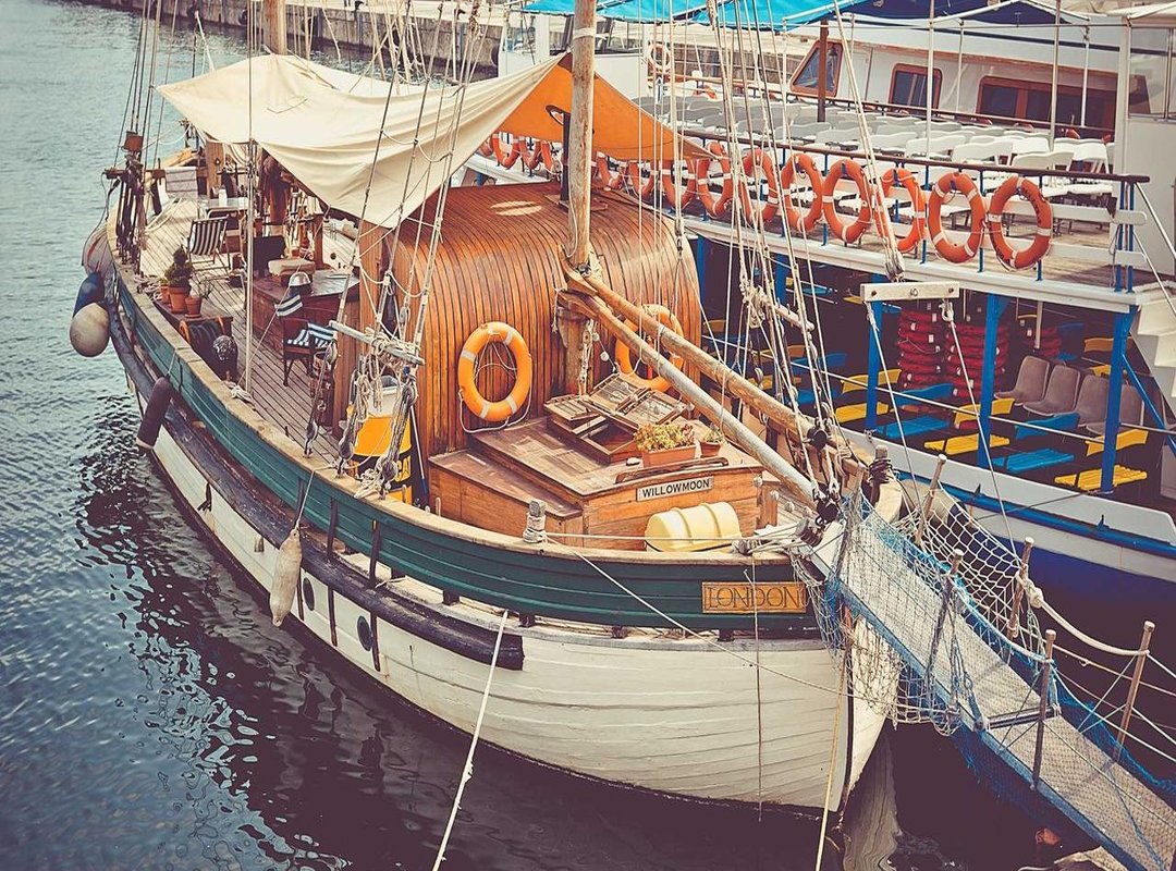 More Than a Meme: Hasbulla's Role in the UFC and Beyond