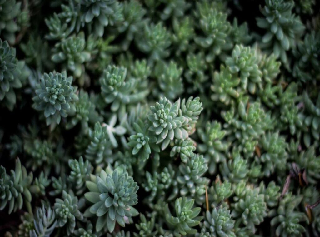 preppy dingen tekenen