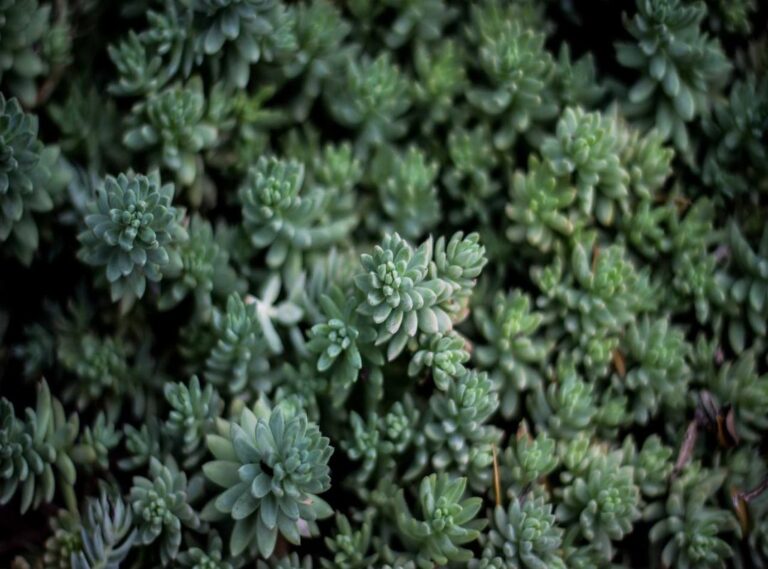 preppy dingen tekenen