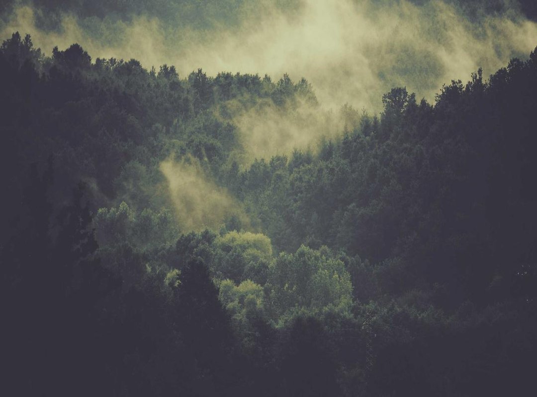 Critical Safety Warning: The Risks of Third-Party APKs